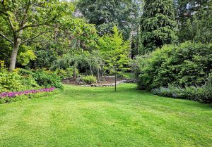 Optimiser l'expérience du jardin à Chatenoy
